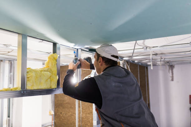 Insulation Repair Services in Exeter, CA