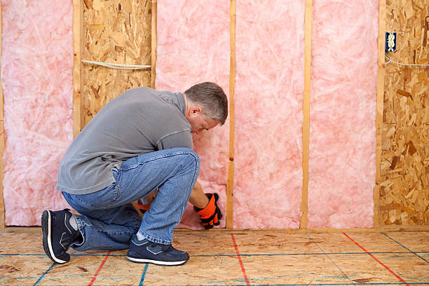 Best Insulation Removal  in Exeter, CA